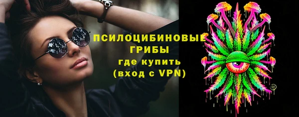 прущая мука Рославль
