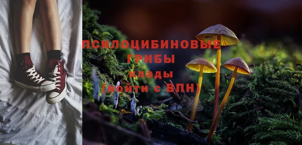 ГАЛЛЮЦИНОГЕННЫЕ ГРИБЫ Россошь