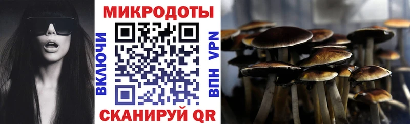 omg   что такое   Минусинск  Галлюциногенные грибы GOLDEN TEACHER 