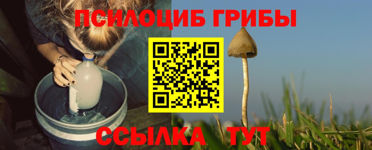Псилоцибиновые грибы мицелий  Псилоцибиновые грибы Psilocybe  Вход с VPN  Минусинск 