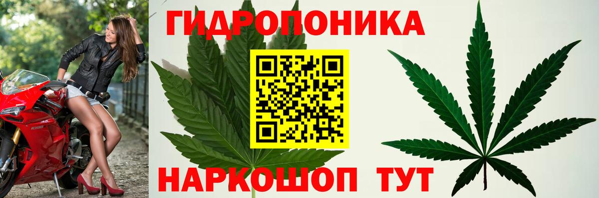 Бошки марихуана ГИДРОПОН  Конопля Amnesia  Конопля Amnesia  Конопля Ganja  Вход с VPN  Минусинск 